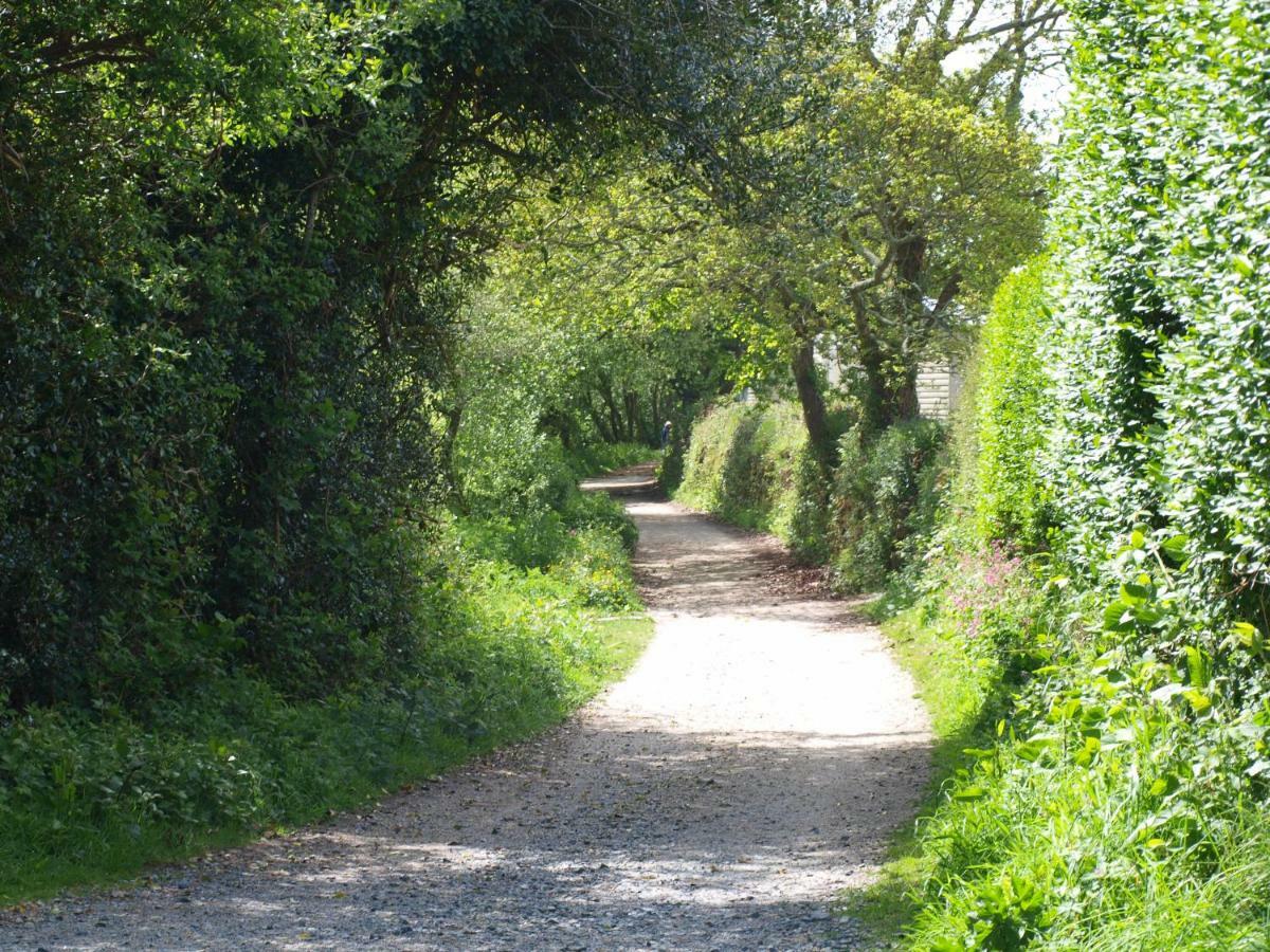 Polgreen Farm Bed and Breakfast St Austell Exteriör bild